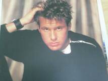 691　中古レコード　LP版　Ｃｏｒｅｙ　Ｈａｒｔ　i can't help falling in love with you 東芝ＥＭＩ株式会社_画像3