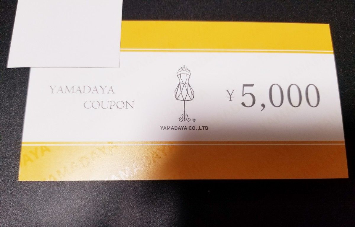 64%以上節約 ヤマダヤ13000円分金券 ide.uowm.gr