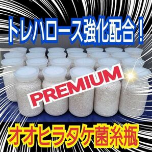 プレミアム☆オオヒラタケ菌糸瓶【4本】トレハロース、キトサン、グルコース、ローヤルゼリー強化配合！国産オオクワガタ85ミリ羽化実績