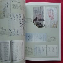 z66図録【花火-夜空を彩る大輪の華/さいたま川の博物館・平成15年】火薬の辿った道/花火の科学_画像8