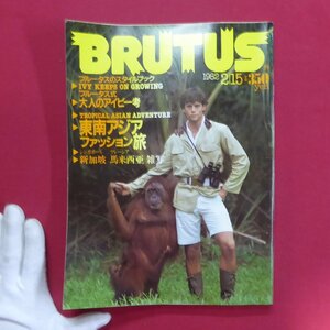 o1雑誌「BRUTUS」1982年2.15【ブルータス式 大人のアイビー考/志水楠男さんと宮沢壮佳さんの「美術手帖」と、あの「60年代美術」】