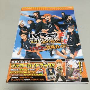 即決　ハイキュー！！繁げ！頂の景色！！N3DS版　ソッコー攻略ガイド　攻略本