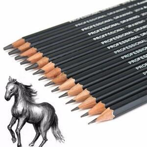  beautiful large raw * fine art part worth seeing! pencil 14 pcs set .. is various...