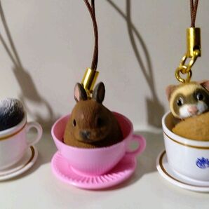 カップin動物ストラップ3個セット(No.370)