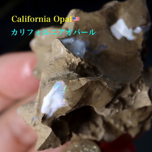 【送料無料】超希少！ カリフォルニア産 オパール 原石 鉱物 天然石 30.5g CAO102 パワーストーン