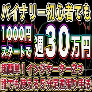 【負けている人必見！】1000円スタートで週30万円！超簡単な５分逆張り手法【バイナリーオプション・サインツール・パラメーター変更可】