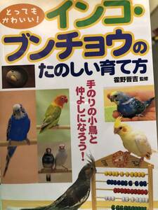 [ новый старая книга ] чрезвычайно симпатичный! длиннохвостый попугай *bnchou. веселый .. person |...(..)