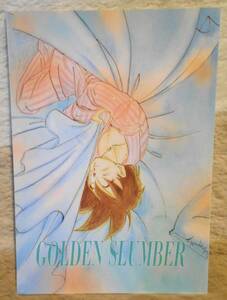 DB Dragon Ball .книга@. женщина прекрасный (........) GOLDEN SLUMBER.. центр love ..книга