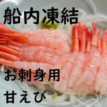 【大特価！！】甘えび　たっぷり1ｋｇ　冷凍　お刺身用　甘海老　アマエビ　南蛮えび　えび　エビ　母の日　父の日　お中元　お歳暮_画像2