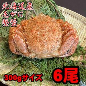 【北海道産】毛がに　6尾（300ｇサイズ）　堅蟹　毛蟹　けがに　ケガニ　蟹　かに　ボイル　母の日　父の日　お中元　お歳暮