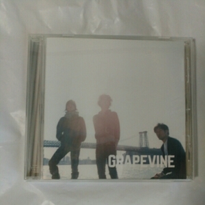 GRAPEVINE /疾走　通常盤　シングル