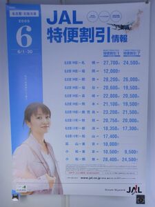 P95 [Плакат ｜ B1 размер ｜ очень большой ｜ Большой размер ｜ Приблизительно 728 × 1030 мм] Akiko Yada 2005 Jal Special Flight Information