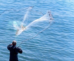 送料無料★投網 とあみ 魚 漁業 漁師 フィッシング スポーツ ネット 釣AiO