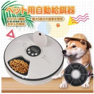  automatic feeder pet 6 meal minute stylish pet feeder dog pt056