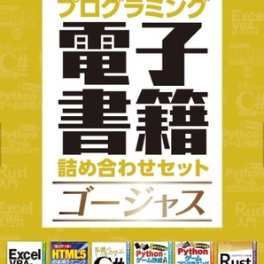 送料無料★日経ソフトウエア 2023年1月号付録【プログラミング電子書籍詰め合わせセット ゴージャス】6冊668ページ分収録 CD-ROM新品未開封