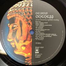 B帯付LP Santana カルロス・サンタナ 天才ギタリスト ワンネス Oneness 見開きジャケット レコード 5点以上落札で送料_画像5