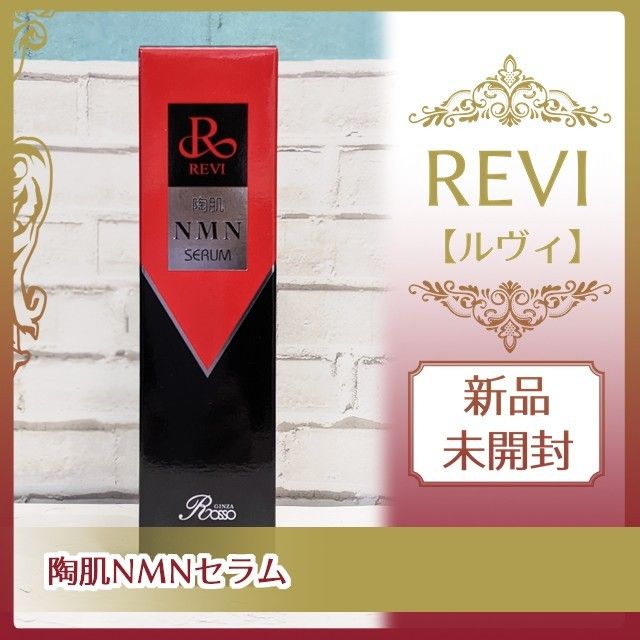 REVI 陶肌パウダー 100g 未開封 ルヴィ ルビ | www.pxa.org.sa
