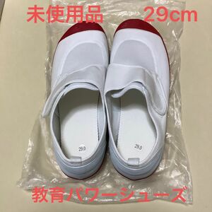 未使用品　 上履き　29cm 赤色　教育パワーシューズ　中敷き付き　