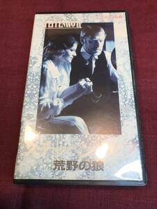 【VHSビデオテープ】ステッペンウルフ 荒野の狼 Steppenwolf (送料 410円) Dominique Sanda, Herman Hesse ヘルマン・ヘッセ