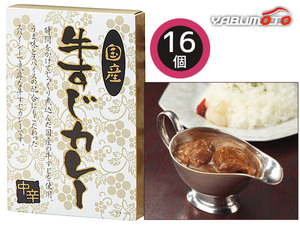 国産牛すじカレー 16食 国産牛すじカレー中辛180g×16 レトルト KGS-80 内祝い お祝い 返礼品 贈答 進物 ギフトプレゼント 税率8％