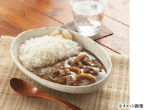 鰹がきいてる和のカレー 20食 鰹がきいてる和のカレー180g×20 レトルト DS-100 贈答 進物 ギフトプレゼント 税率8％_画像4