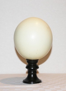 ダチョウの卵の殻　中古品　オブジェ　インテリア　標本