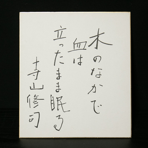  square fancy cardboard -645 Terayama Shuuji tree among . is .. Tama .... author [ genuine work ]