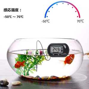 送料無料 デジタル水温計 温度計 吸盤付 水槽 金魚鉢 爬虫類 ブラック 黒 E98の画像3