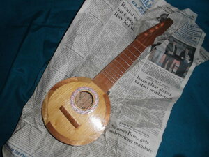 # banjo? seems . musical instruments. ornament?