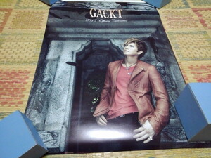 ■　ガクト Gackt　【　2013 壁掛け型　カレンダー　】