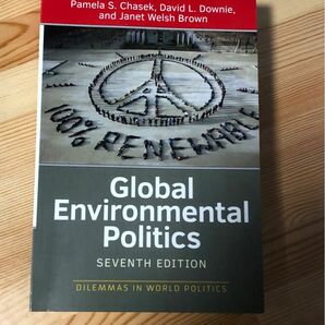 Global Environmental Politics 英語版