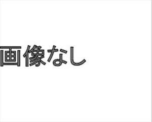 A4・S4 スノーブレード 助手席側 アウディ純正部品 パーツ オプション