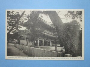 e9738丹後天の橋立文珠智恩寺山門絵葉書