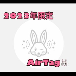 ☆Apple AirTag 限定うさぎデザイン☆