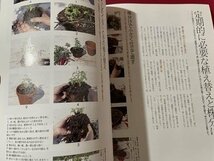 ｓ▼▼　1999年　別冊NHK趣味の園芸　ハーブ 香の草花　日本放送出版局　書籍 /　K19上_画像7