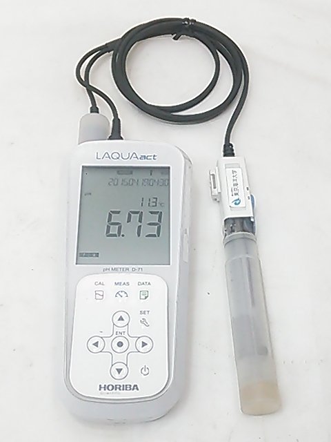 お中元 残暑見舞い 夏 ギフト 当店限定P10倍 HORIBA フィールド型