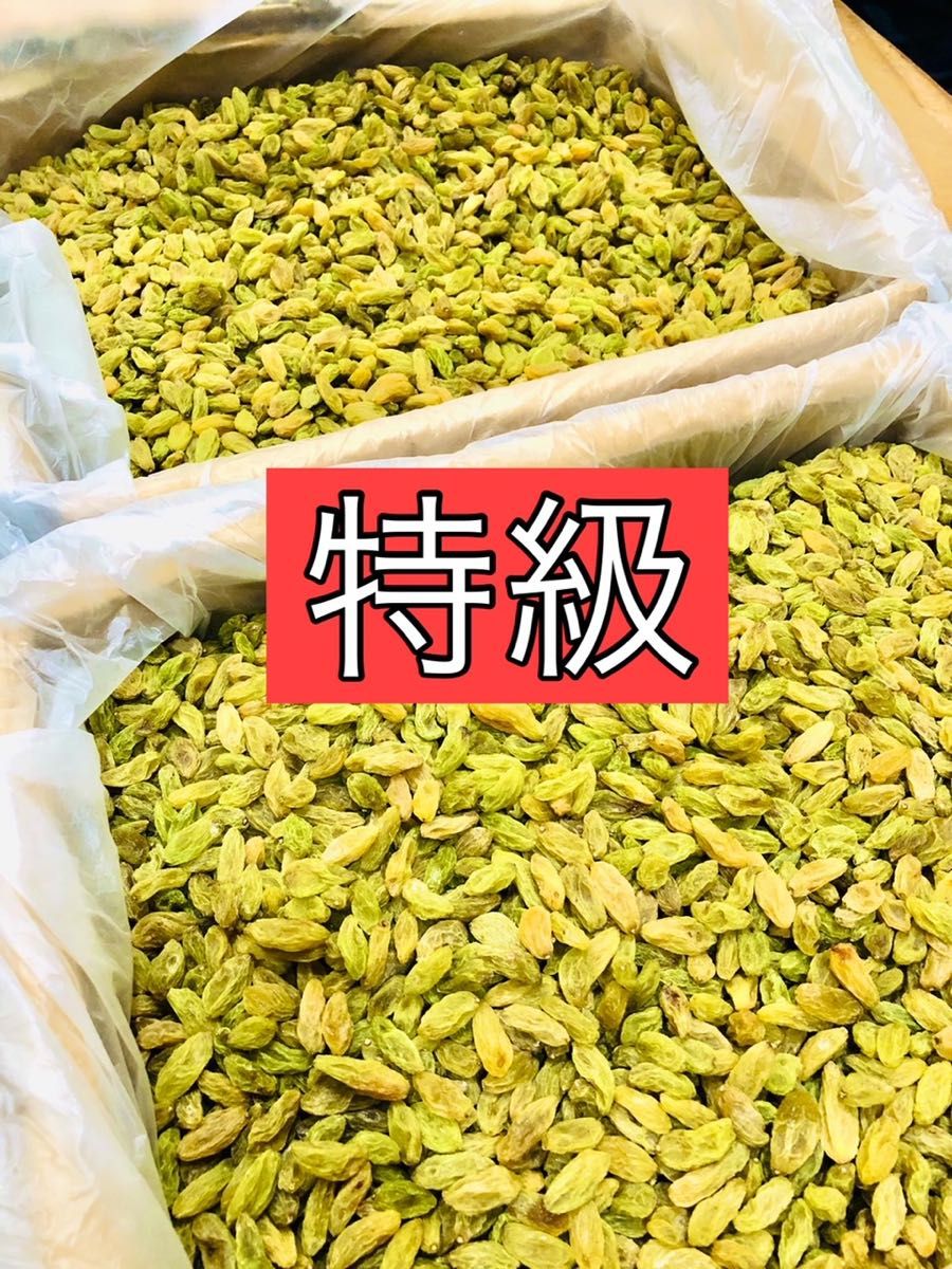 モロヘイヤ 100% 緑粒 750粒入×1個 エジプト産 無添加 ムチン 錠剤