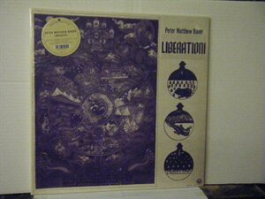 △LP PETER MATTHEW BAUER ピーター・マシュー・バウアー / LIBERATION リベレーション US盤 新品・未使用 MEXICAN SUMMER MEX195◇r50130