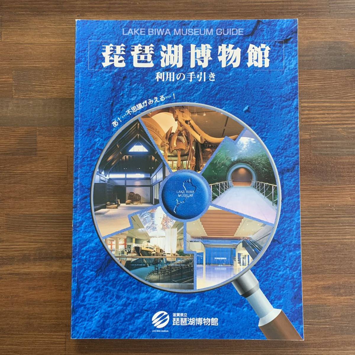 Lake Biwa Museum User's Guide Ah!... See the Wonders...! 2nd Edition Shiga Prefectural Lake Biwa Museum Published March 1998, Painting, Art Book, Collection, Catalog