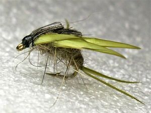  конечный продукт fly нога человек fRegs Nymph 6шт.@#12