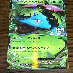 【本日限定大特価・最安値・値下げ不可】ポケモンカード　フシギバナEX　プロモ　233/XY-P