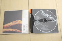 BUCKCHERRY バックチェリー CD 元ケース無し メディアパス収納_画像3