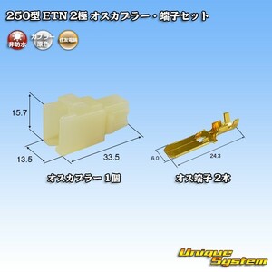 住友電装 250型 ETN 2極 オスカプラー・端子セット