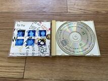 13 CD cd ユニコーン　unicorn ハヴァナイスデー_画像3