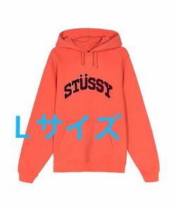 正規品人気モデル！アーチビックロゴSTUSSYパー