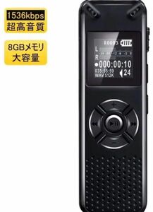 革新モデル ボイスレコーダー MP3プレーヤー機能付