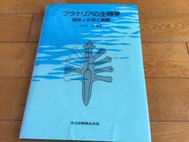 プラナリアの生物学　共立出版_画像1