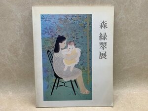 Art hand Auction 森緑翠展 1994年 豊橋市美術博物館 CIK330, 絵画, 画集, 作品集, 図録