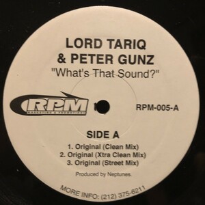 Lord Tariq & Peter Gunz / What's That Sound?