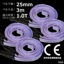 ナイロンスリングベルト【4本セット】幅25mm×3m 耐荷1000kg CE規格品 ベルトスリング 紫/10χ_画像1